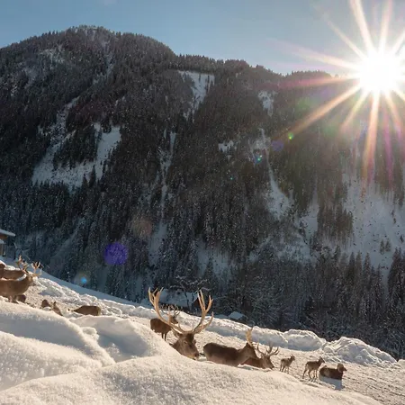 Apartmán Alte Bildhauerei Aurach bei Kitzbuehel Exteriér fotografie