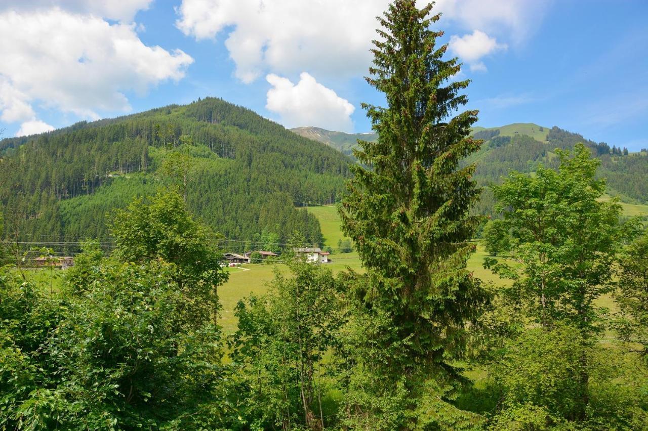 Alte Bildhauerei Appartement